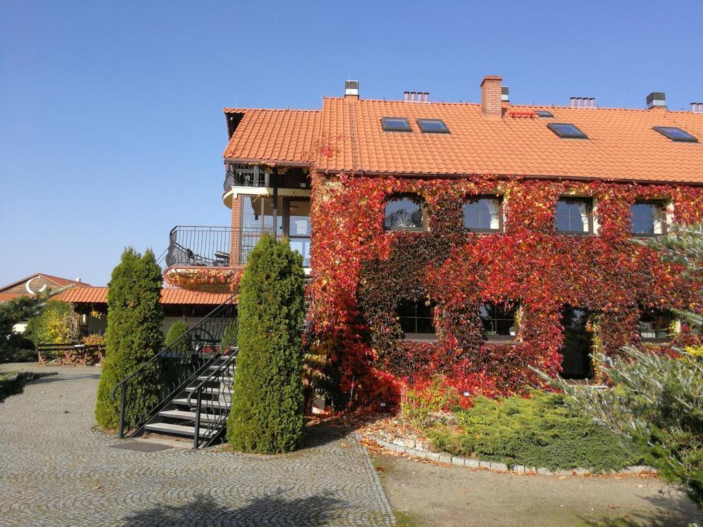 Podkowa Modliszow Villa Екстериор снимка