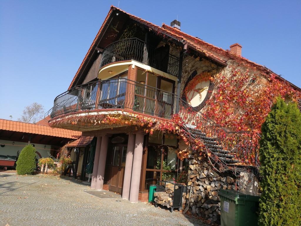 Podkowa Modliszow Villa Екстериор снимка